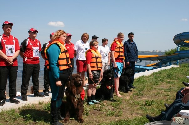 Фото: Лилиана Рахматова, ньюфаундленд Юджин с Берега Дона