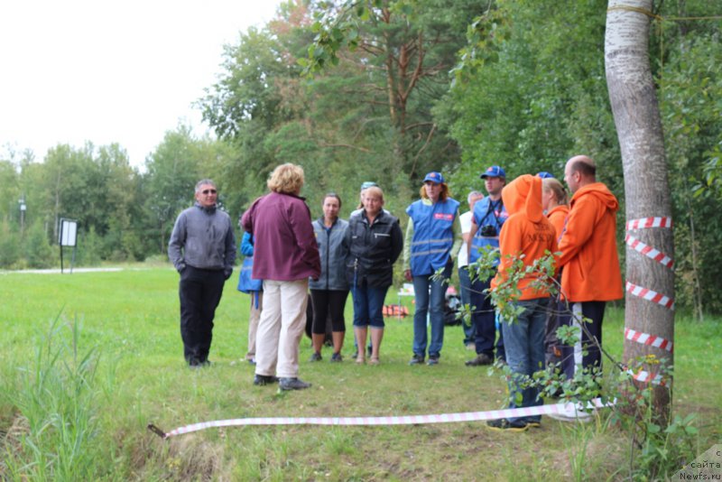 Фото: Александра Фетисова