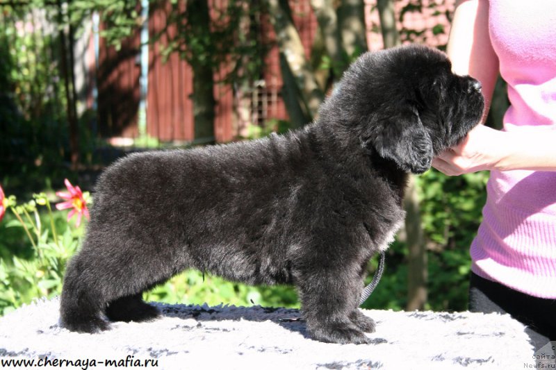 Фотография № 189448