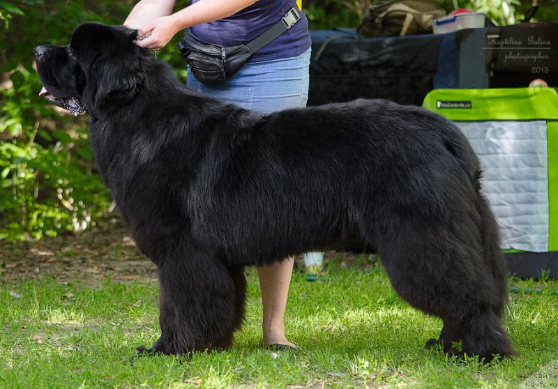 Фотография № 189453