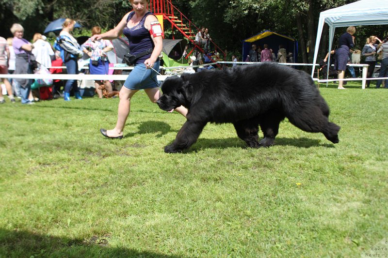 Фотография № 189458