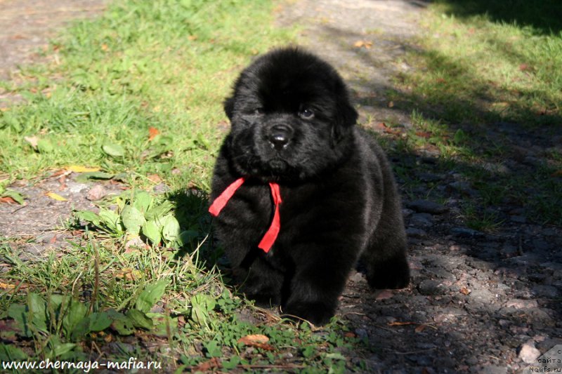 Фотография № 189481