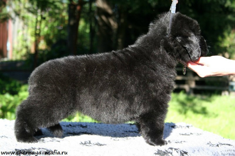 Фотография № 189484