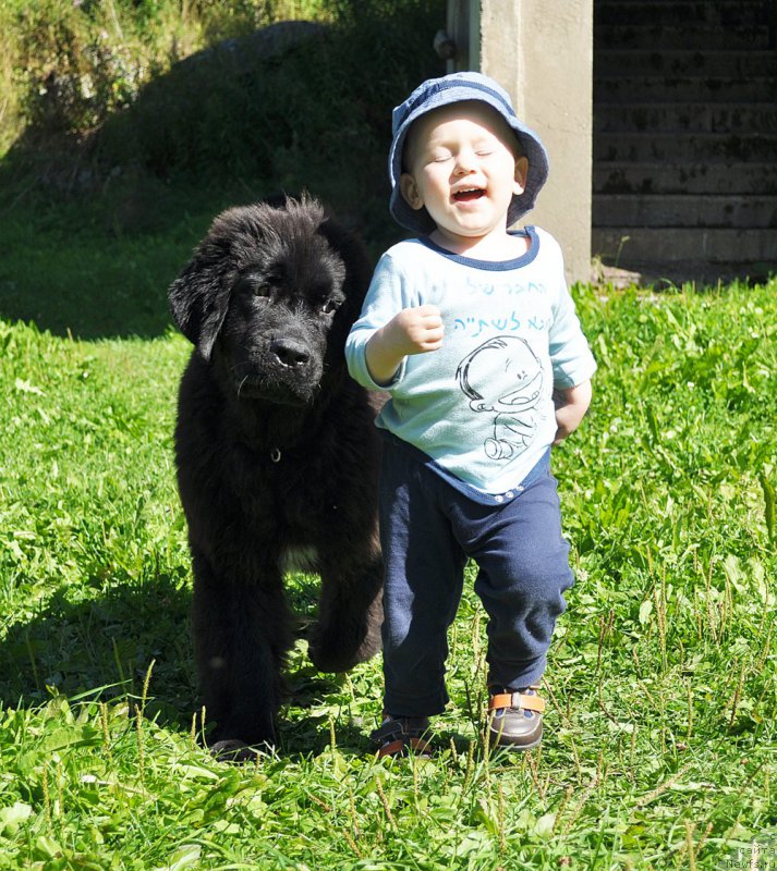 Фотография № 189516