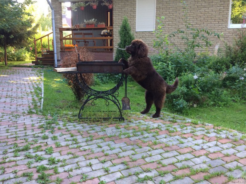 Фотография № 189559