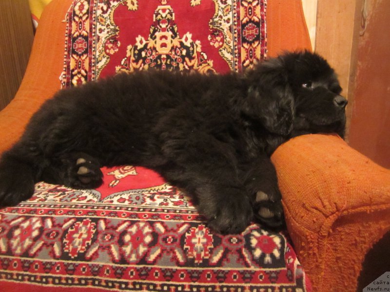 Фото: Наталья Смазчикова