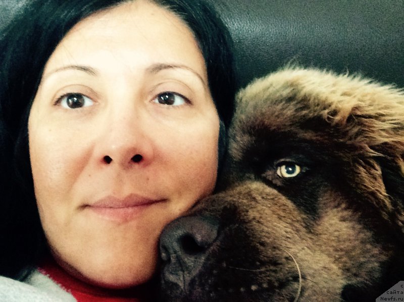 Фотография № 189599