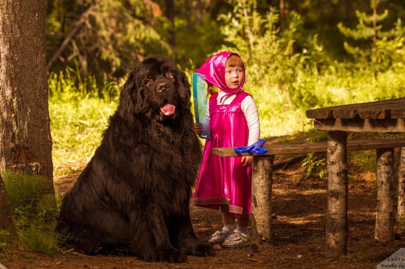 Фотография № 189602