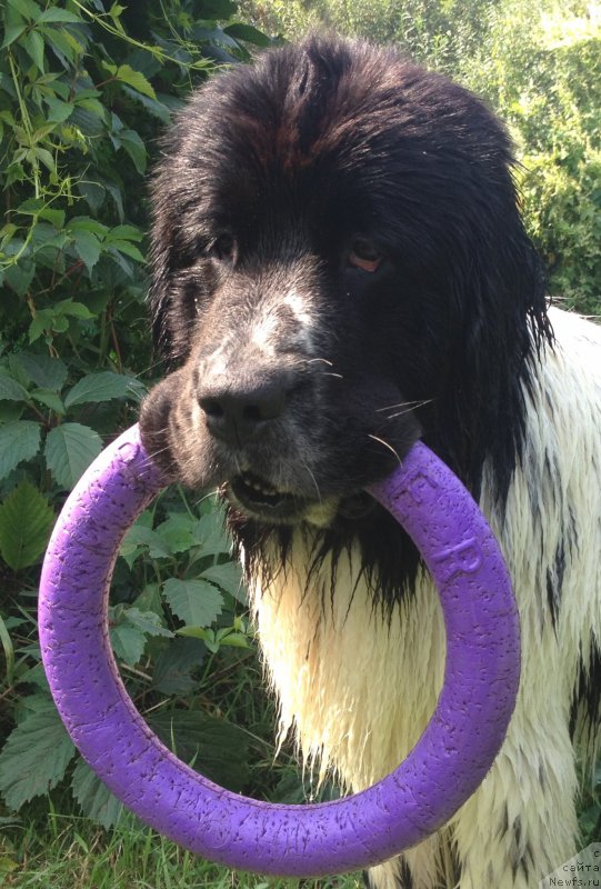 Фотография № 189606