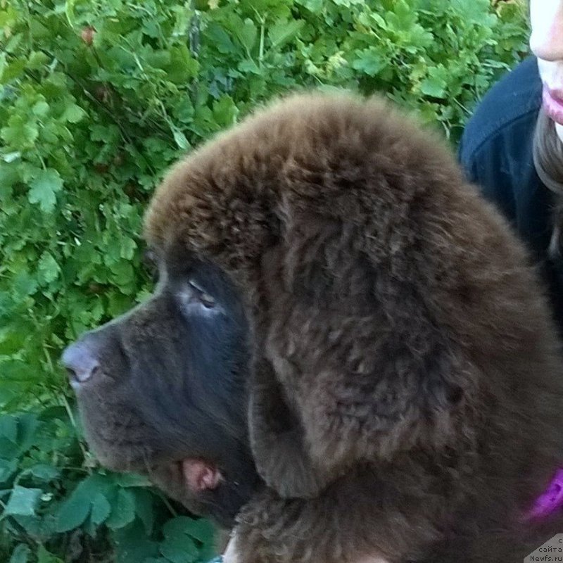 Фотография № 189658