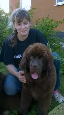 Фотография № 189659