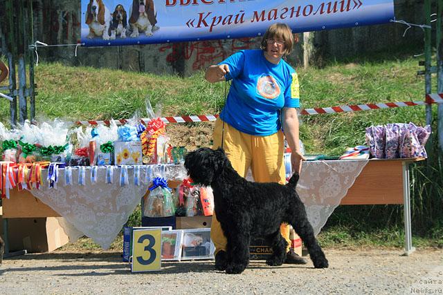 Фото: Сяпа, Катя Андрющенко