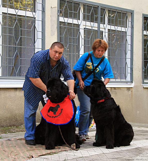 Фотография № 18967