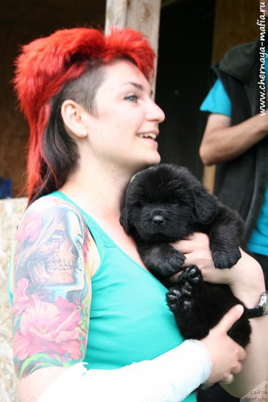 Фотография № 189693