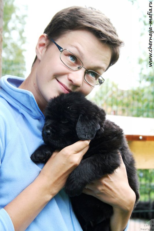 Фотография № 189694