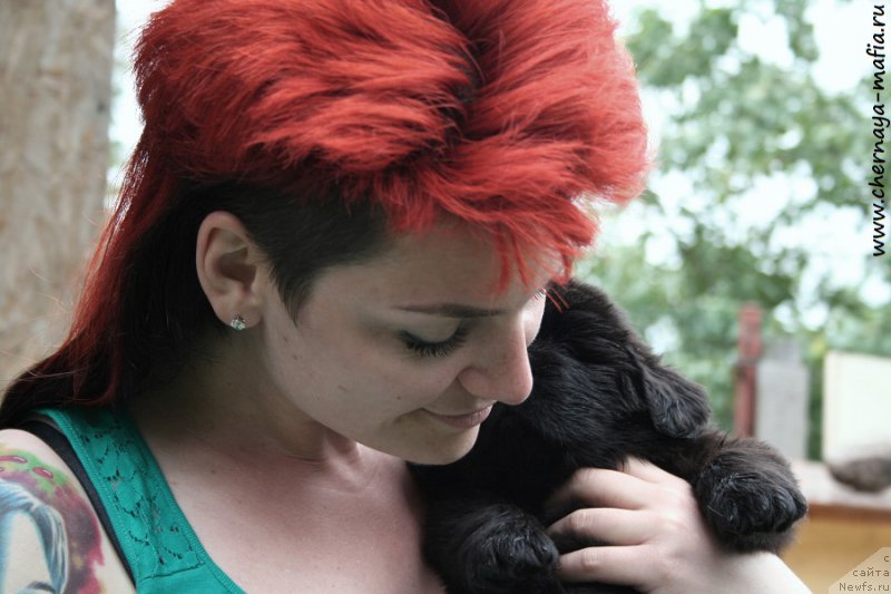 Фотография № 189695