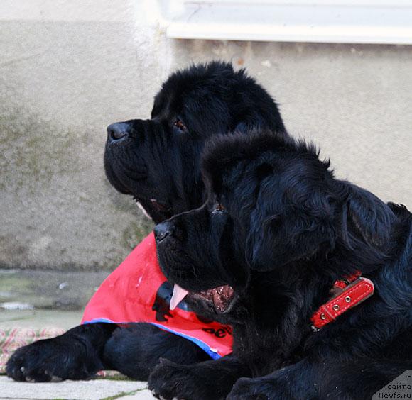 Фотография № 18970