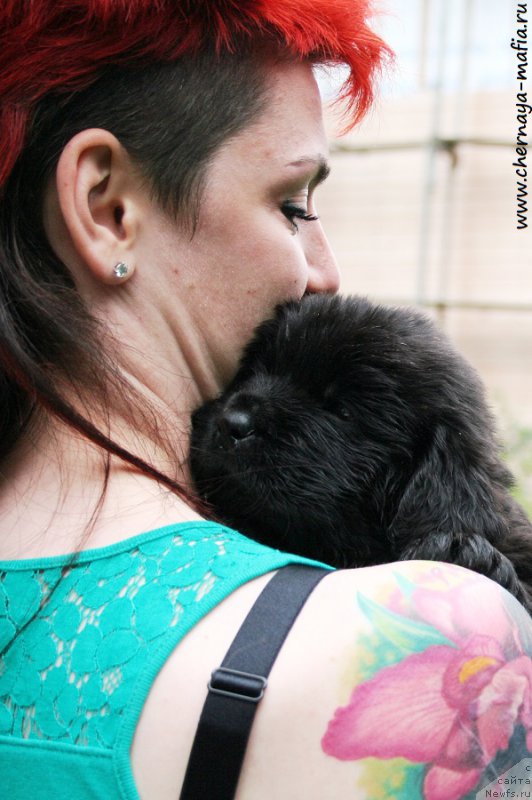 Фотография № 189701