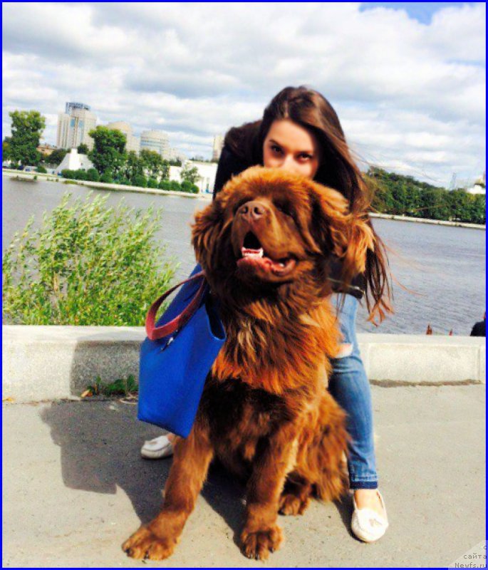 Фотография № 189704