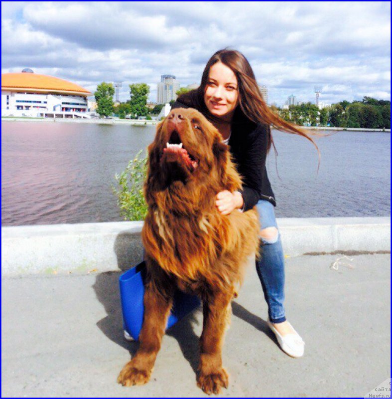 Фотография № 189707