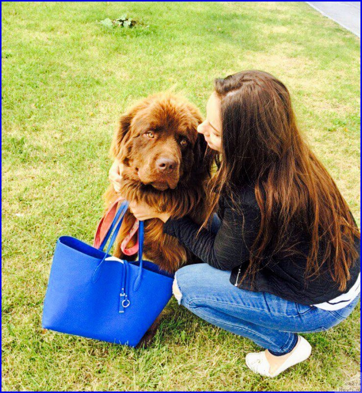 Фотография № 189721