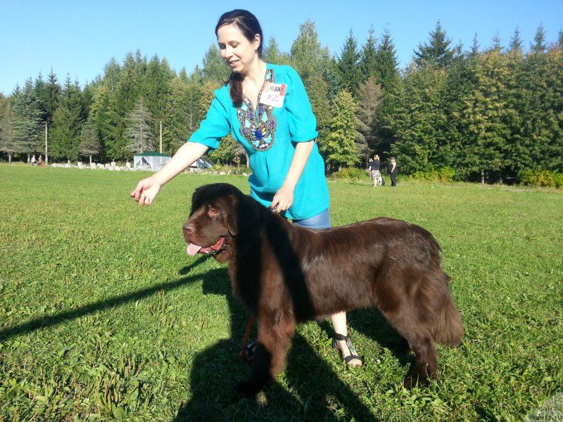 Фотография № 189729