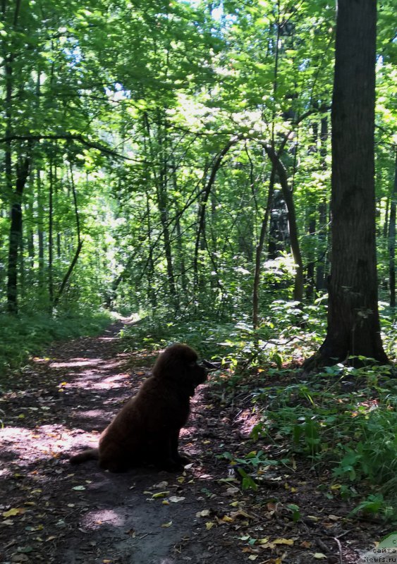 Фотография № 189768