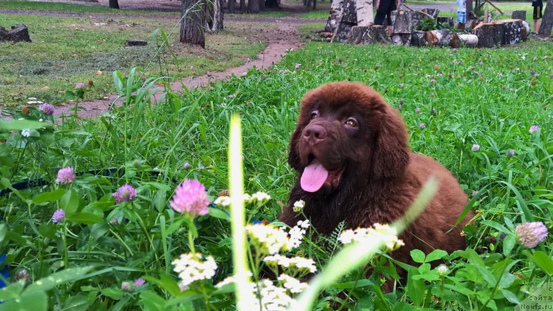 Фотография № 189770