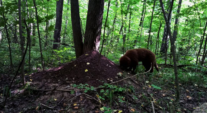 Фотография № 189771