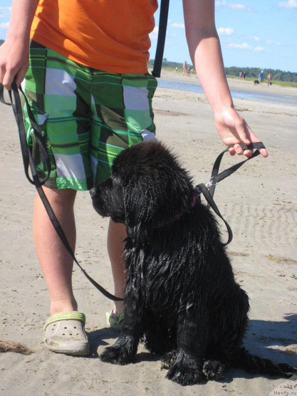 Фотография № 189791