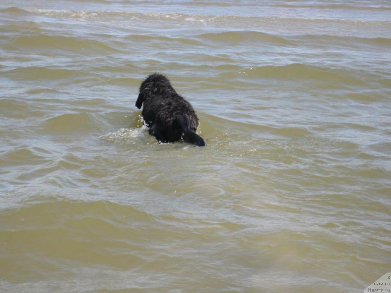 Фотография № 189792