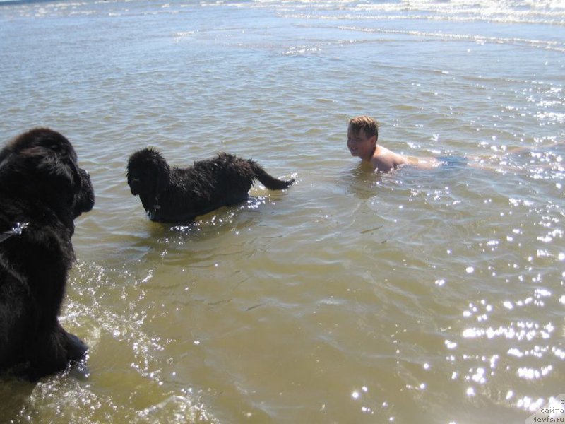 Фотография № 189794