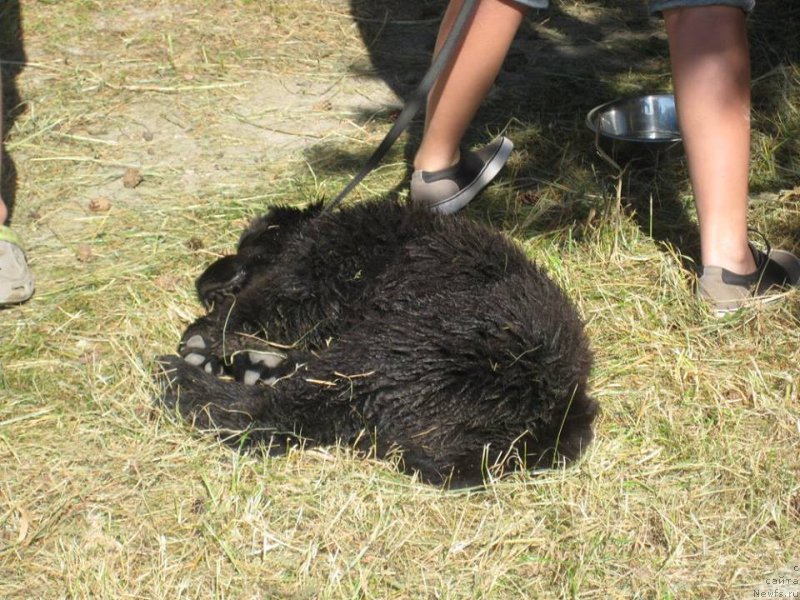 Фотография № 189795