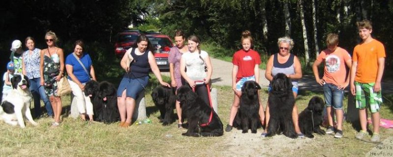 Фотография № 189796