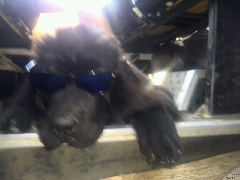 Фотография № 189799