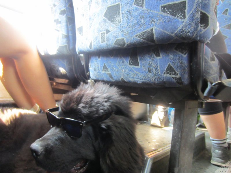 Фотография № 189800