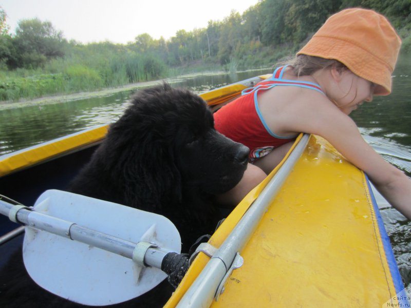 Фотография № 189801