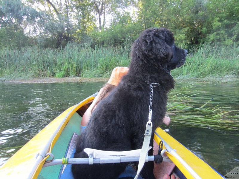 Фотография № 189802