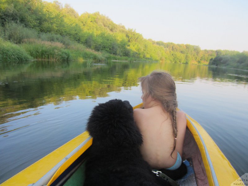 Фотография № 189803