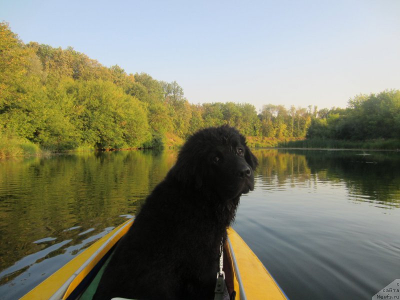 Фотография № 189804