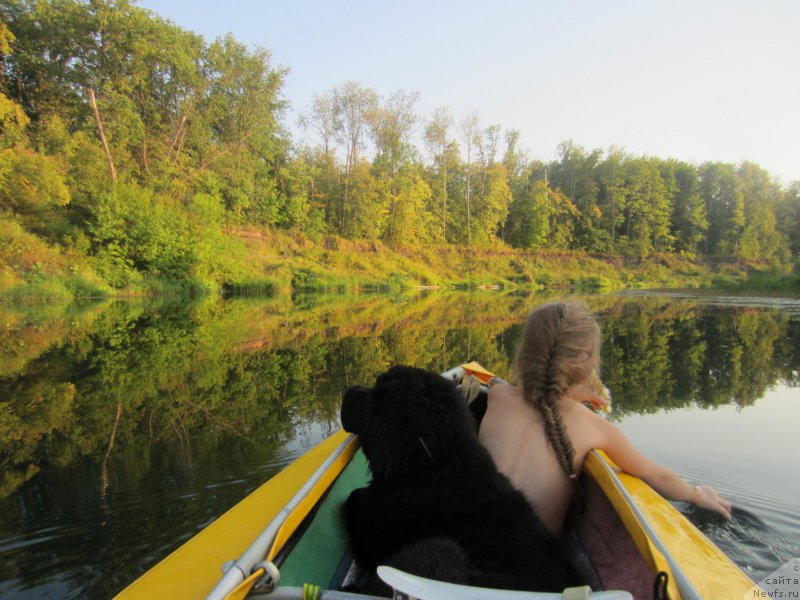 Фотография № 189805