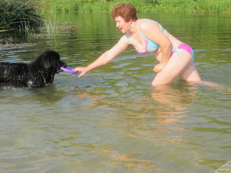 Фотография № 189806