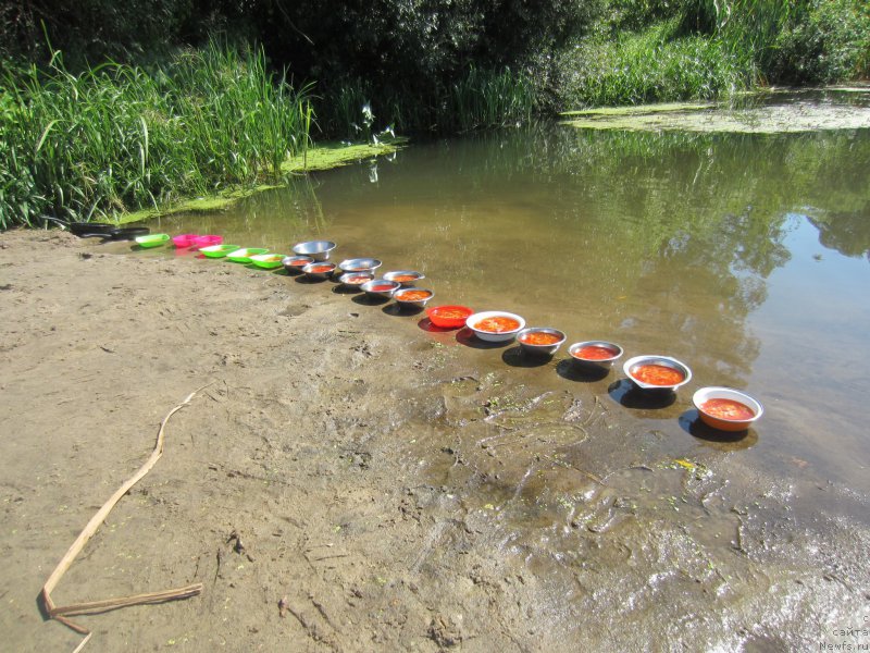 Фотография № 189808