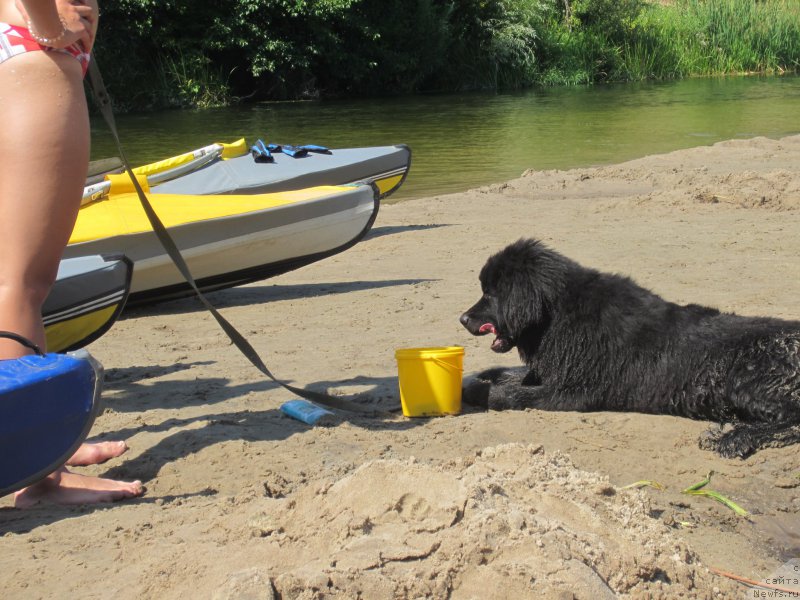 Фотография № 189809