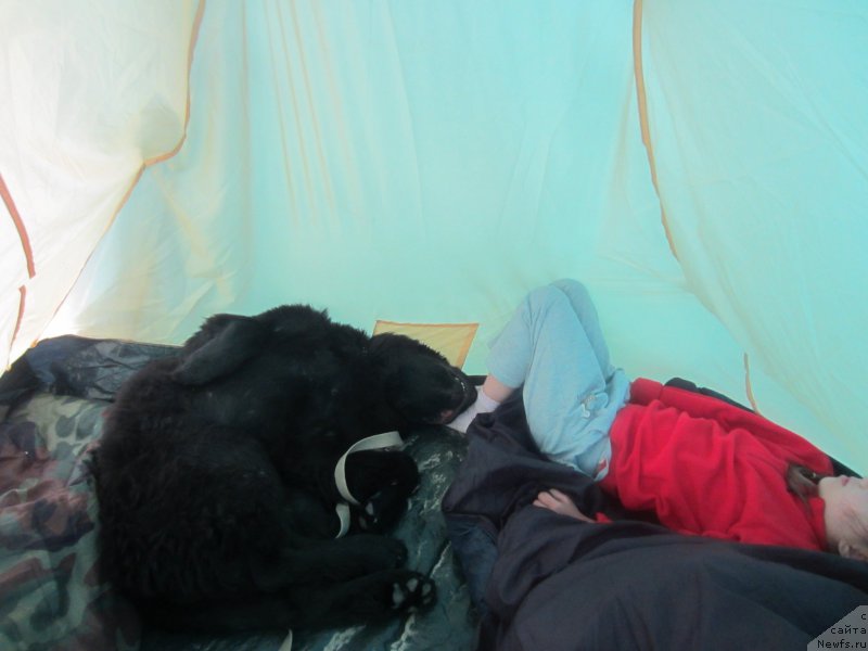 Фотография № 189813