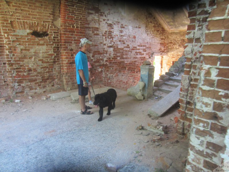 Фотография № 189818