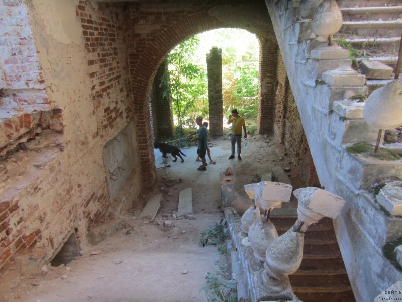 Фотография № 189819