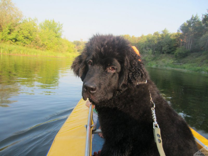 Фотография № 189823