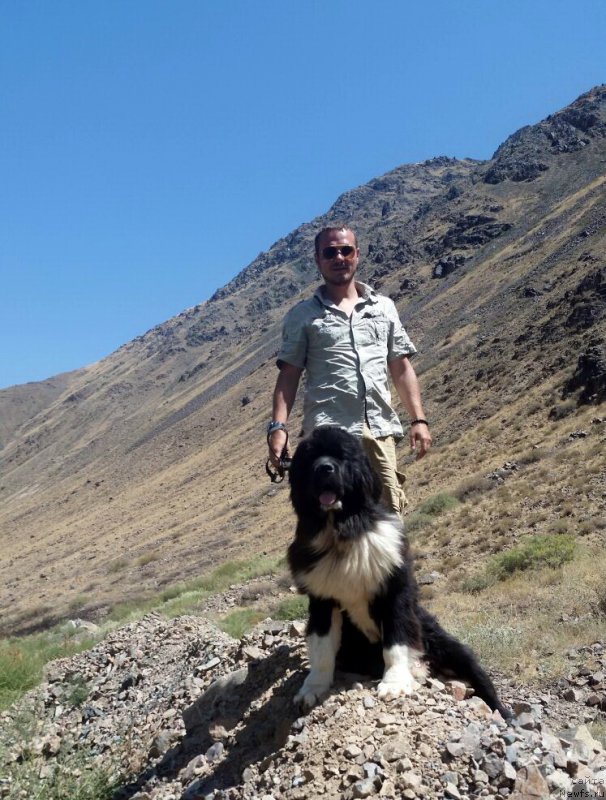 Фотография № 189827