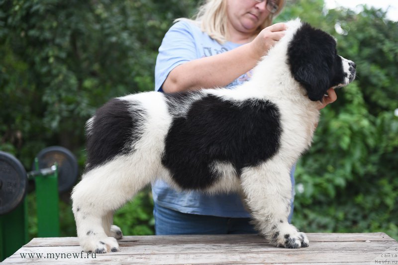 Фотография № 189835